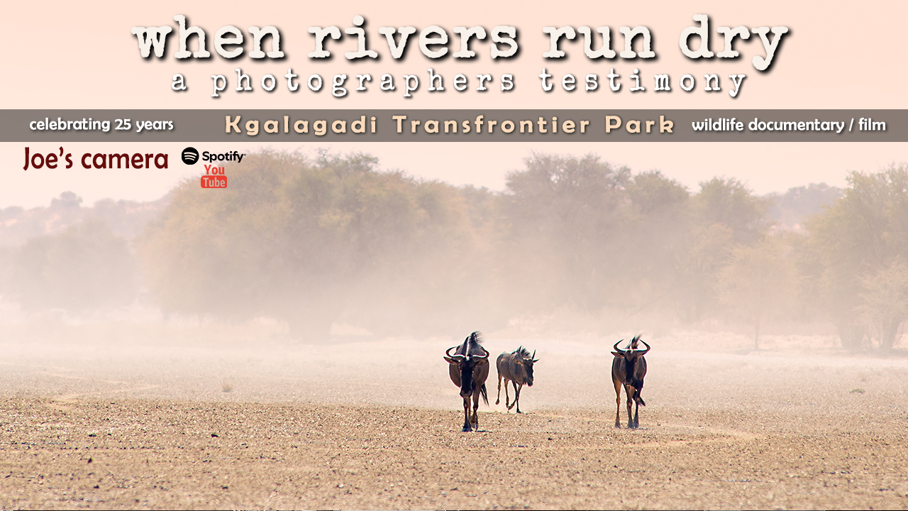 When rivers run dry. A photographers testimony. Gold award